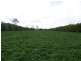 169 Mole Creek Road, Deloraine TAS 7304