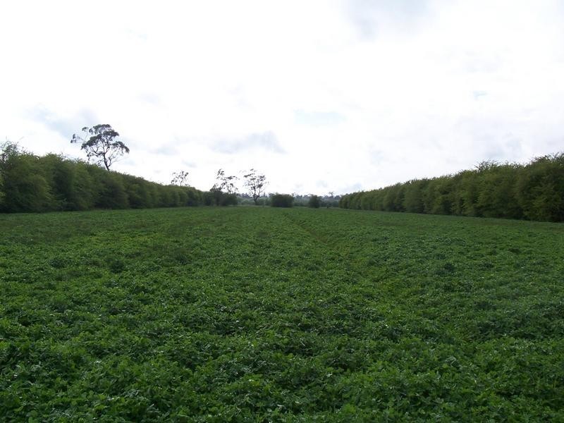 169 Mole Creek Road, Deloraine TAS 7304