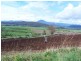 169 Mole Creek Road, Deloraine TAS 7304