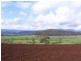 169 Mole Creek Road, Deloraine TAS 7304