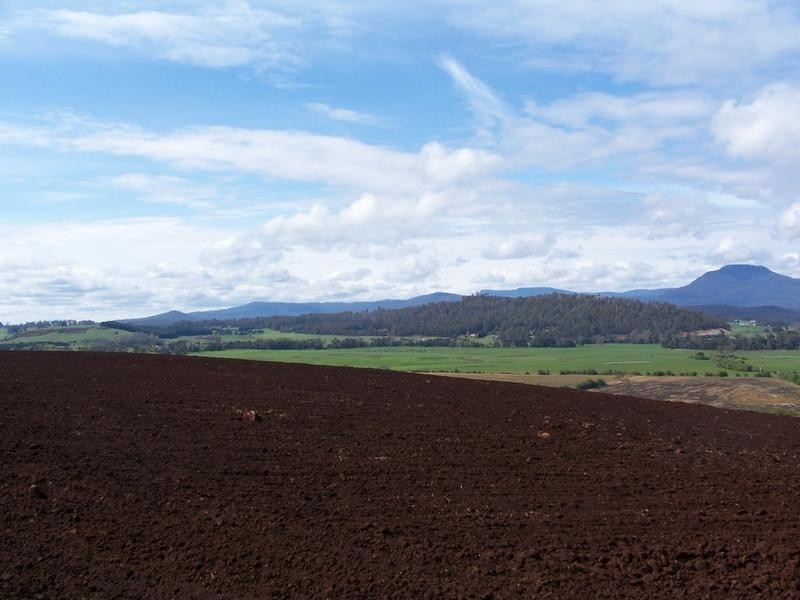 169 Mole Creek Road, Deloraine TAS 7304