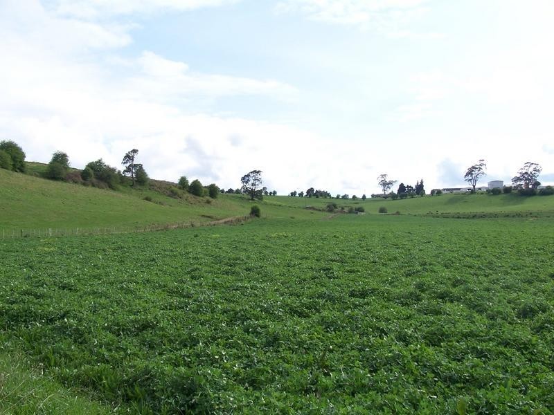 169 Mole Creek Rd, Deloraine TAS 7304