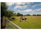 19 Bundarra Drive, Squeaking Point TAS 7307