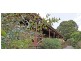 30 Pegarah Drive, Forth TAS 7310
