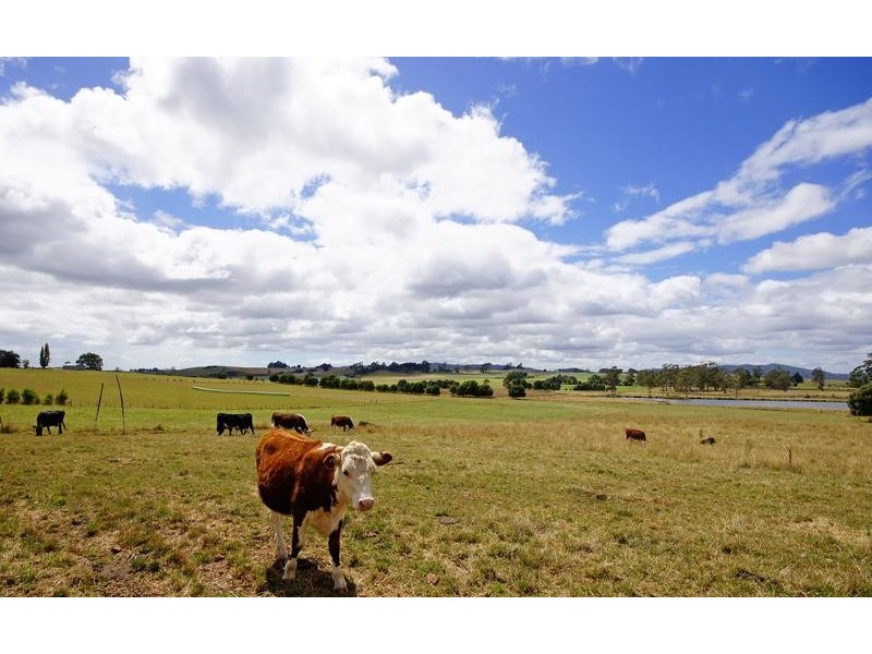 178 Hendersons Road, Barrington TAS 7306