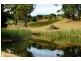 74 Atkins Drv, Acacia Hills TAS 7306