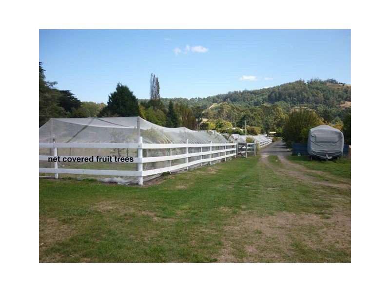 159 Sheffield Road, Spreyton TAS 7310