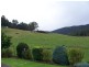 1089 Loongana Road, Loongana TAS 7315