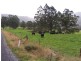 1089 Loongana Road, Loongana TAS 7315