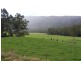 1089 Loongana Road, Loongana TAS 7315