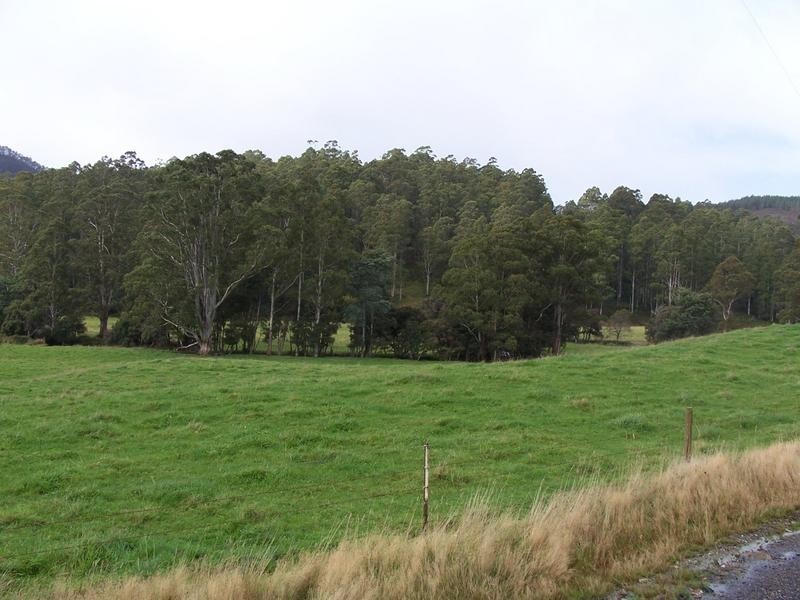 1089 Loongana Road, Loongana TAS 7315