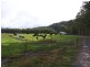 1089 Loongana Road, Loongana TAS 7315