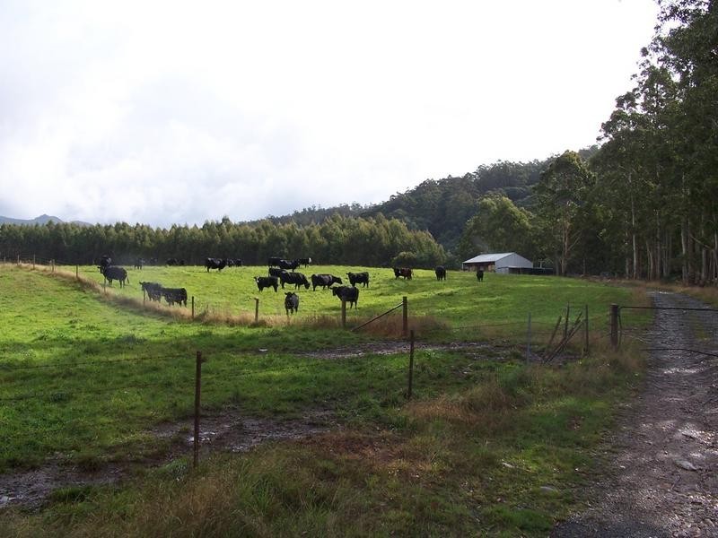 1089 Loongana Road, Loongana TAS 7315