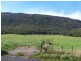 1089 Loongana Road, Loongana TAS 7315