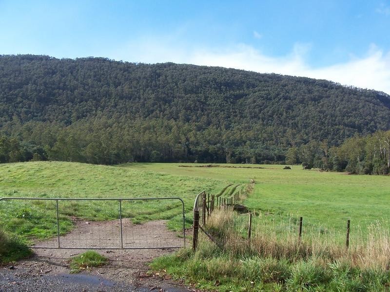 1089 Loongana Road, Loongana TAS 7315