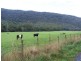 1089 Loongana Road, Loongana TAS 7315