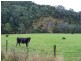 1089 Loongana Road, Loongana TAS 7315
