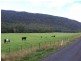 1089 Loongana Road, Loongana TAS 7315