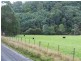 1089 Loongana Road, Loongana TAS 7315