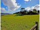 322 Braddons Lookout Rd, Forth TAS 7310