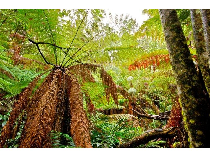 62 Brookland Avenue, Acacia Hills TAS 7306