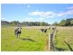 328 Mersey Main Road, Spreyton TAS 7310