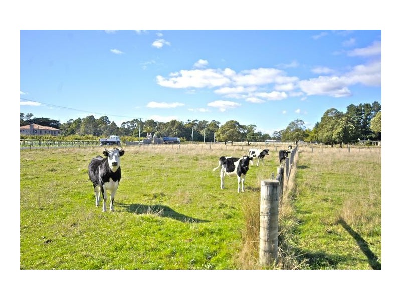 328 Mersey Main Road, Spreyton TAS 7310