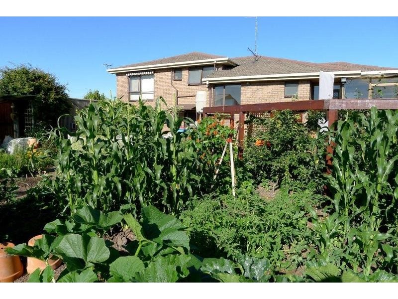 11 Moriarty Road, Latrobe TAS 7307