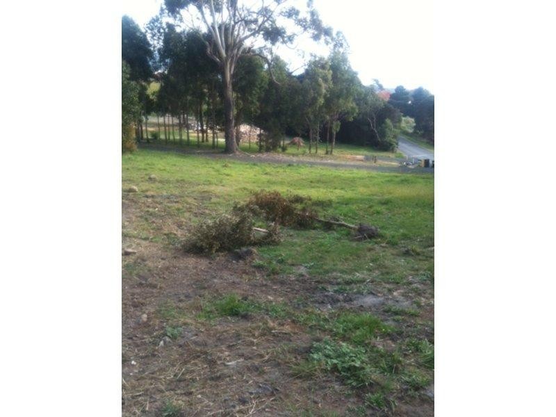176 Allport Street, Leith TAS 7315