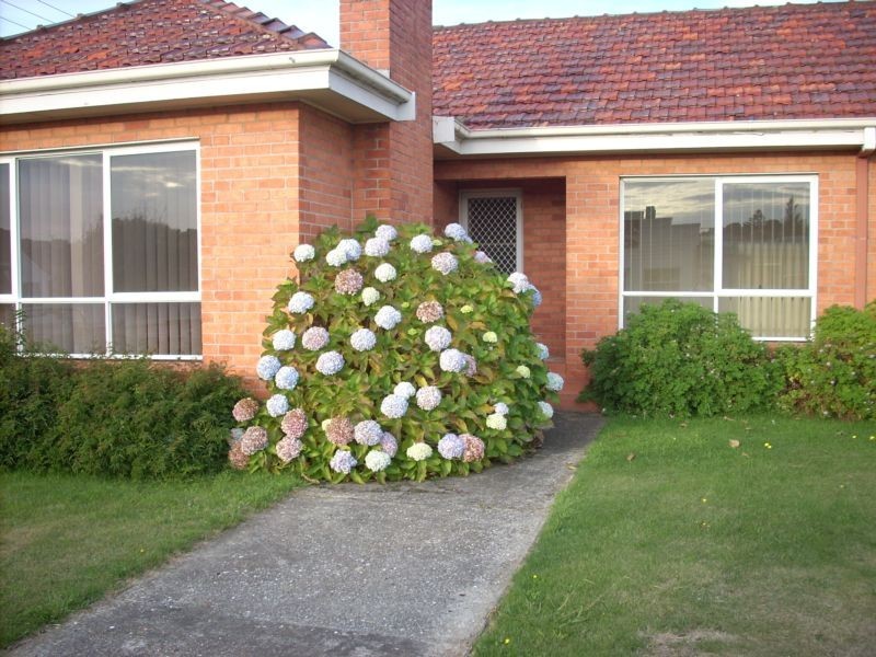 1/139 Best Street, Devonport TAS 7310