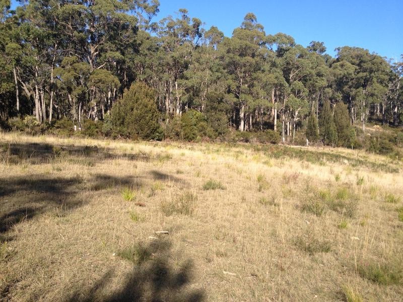 Castle Drive, Tarleton TAS 7310
