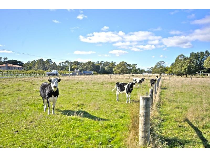 328 Mersey Main Rd, Spreyton TAS 7310