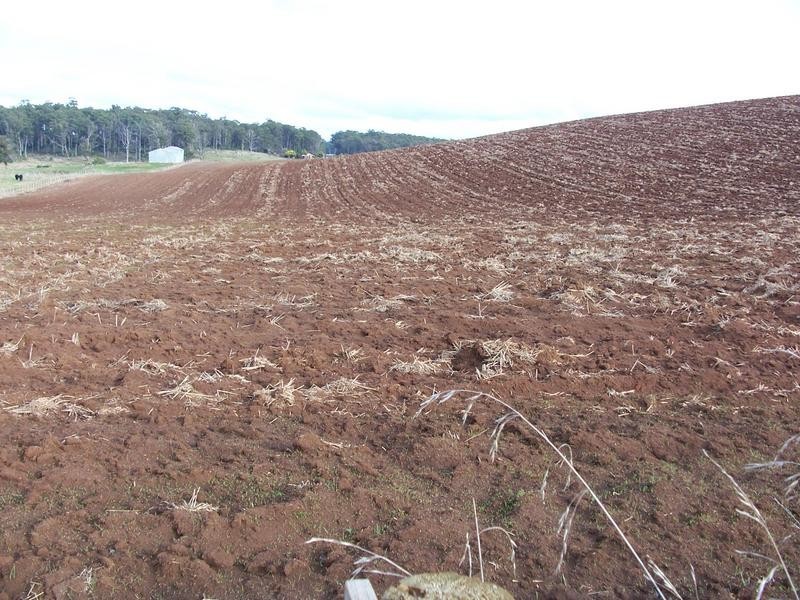 54 Lampreys Road, Sassafras TAS 7307