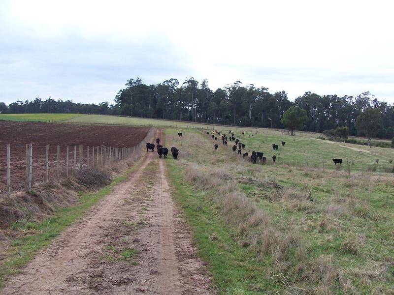 54 Lampreys Road, Sassafras TAS 7307