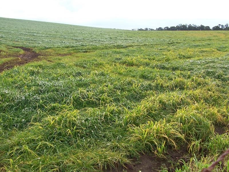 54 Lampreys Rd, Sassafras TAS 7307