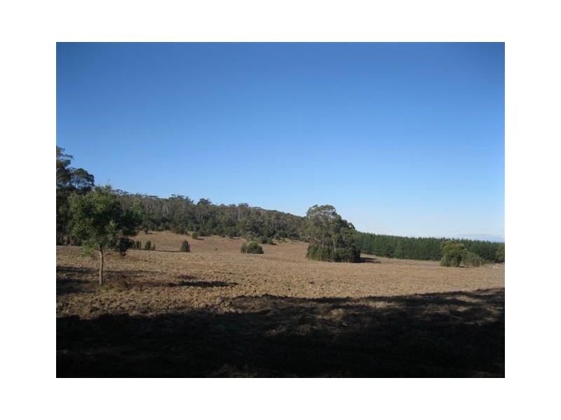 9138 Bass Highway, Latrobe TAS 7307