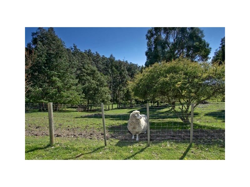 16 Winifred Avenue, Acacia Hills TAS 7306