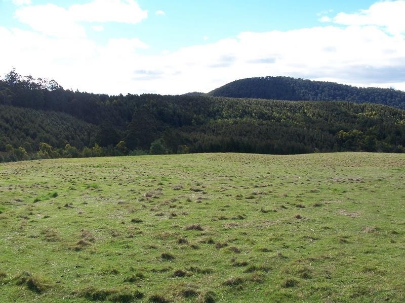 146 Smiths Road, Flowery Gully TAS 7270