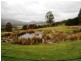 106 Brooks Road, Lower Barrington TAS 7306