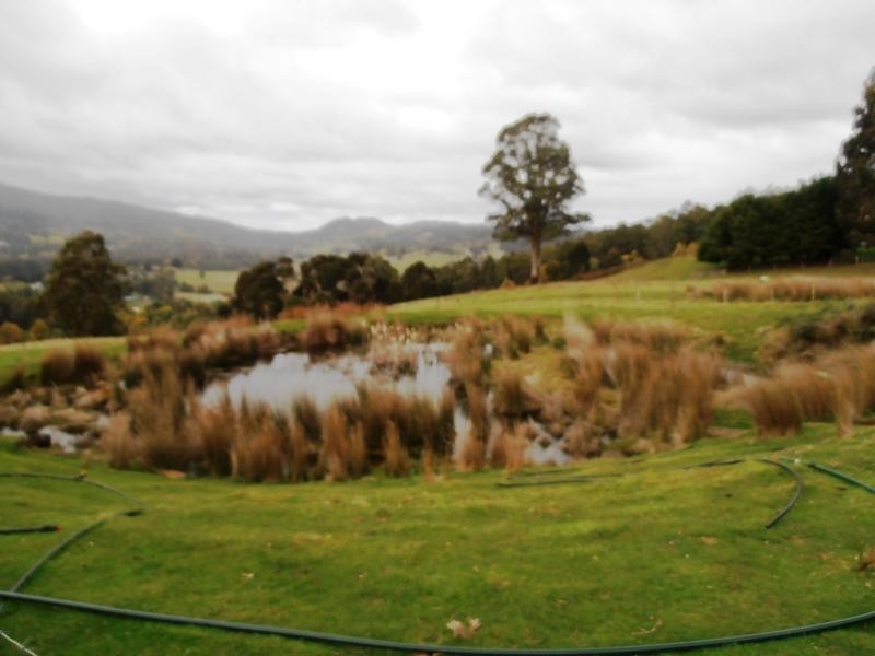 106 Brooks Road, Lower Barrington TAS 7306