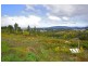 57A Berrigan Road, Miandetta TAS 7310
