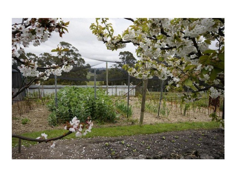 110 Cornicks Road, Spreyton TAS 7310