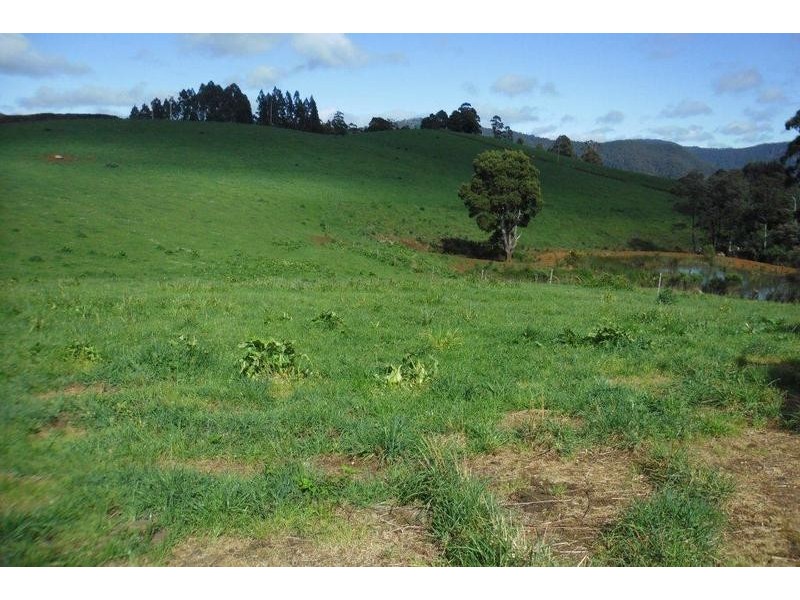 Harveys Road, North Motton TAS 7315