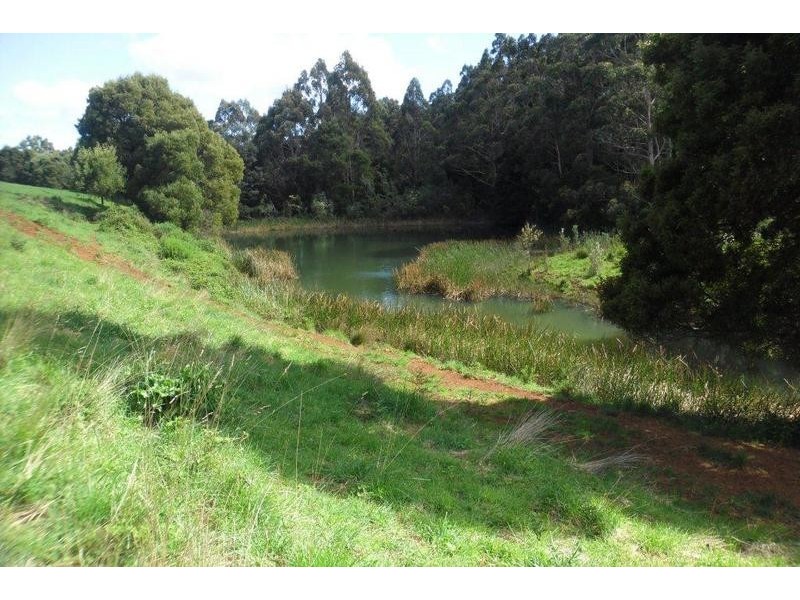 Harveys Road, North Motton TAS 7315