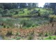 Harveys Road, North Motton TAS 7315