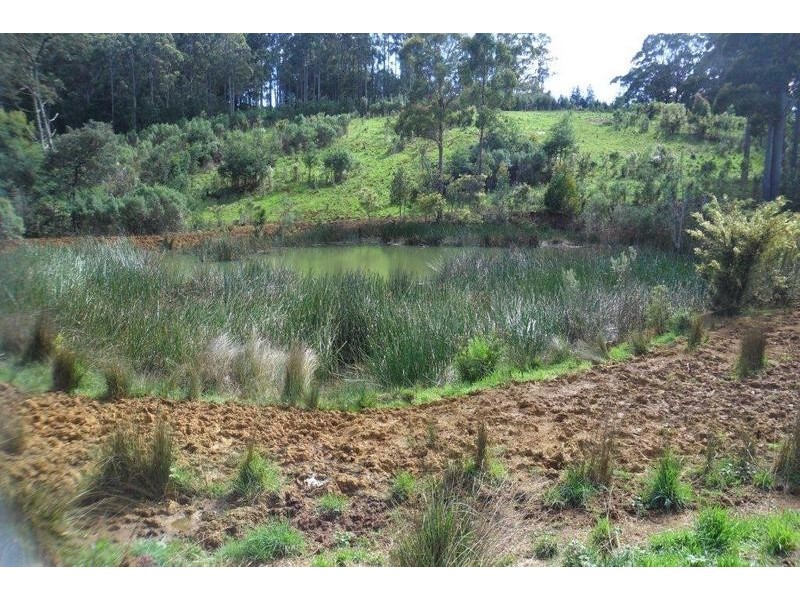 Harveys Road, North Motton TAS 7315
