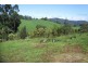 Harveys Road, North Motton TAS 7315