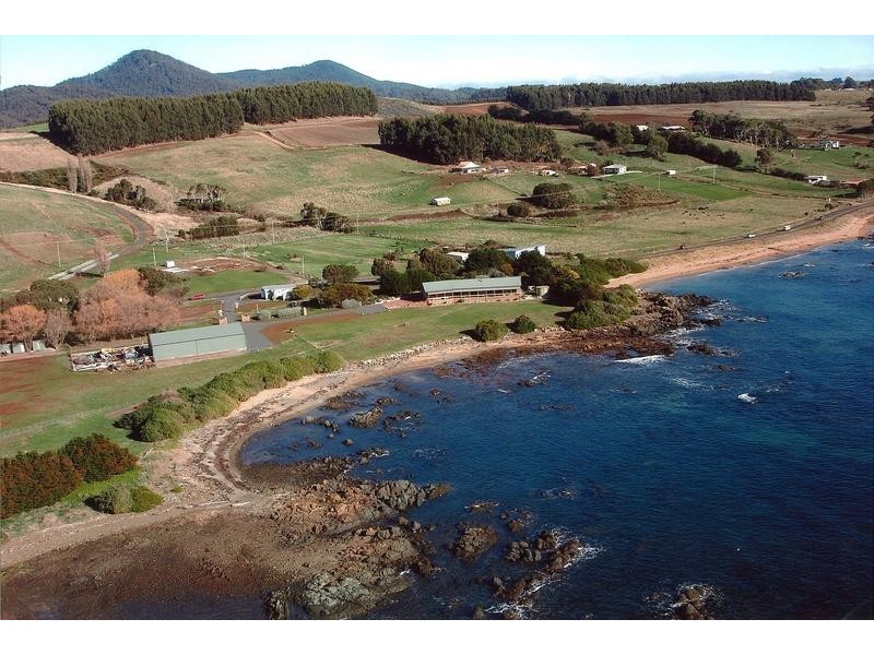 650 Penguin Road, Penguin TAS 7316