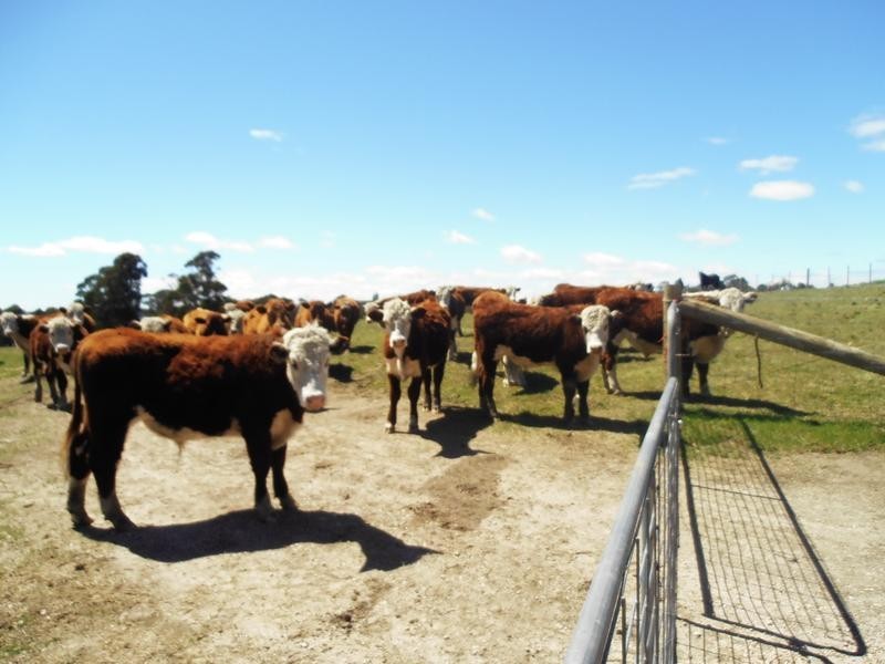 Lot Lot 2,  Clayton Drive, Spreyton TAS 7310