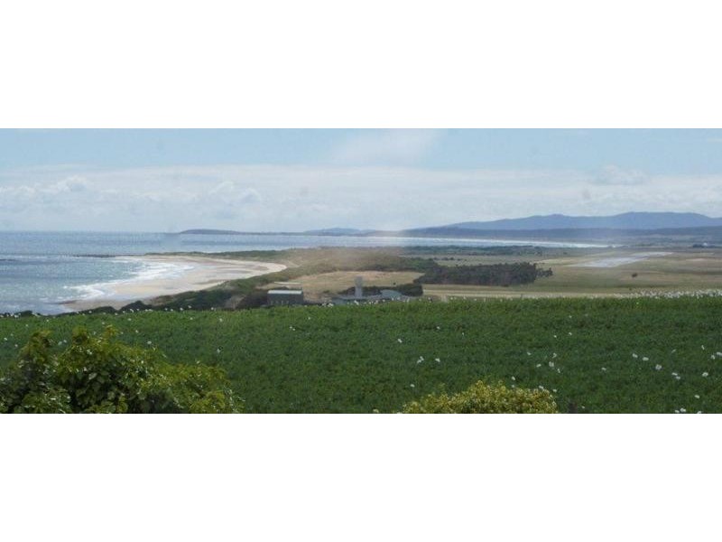 23 Bovill Street, East Devonport TAS 7310